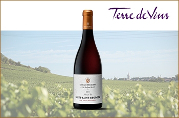 Nuits Saint Georges Premier Cru Les Saints Georges 2018 Terre de Vins Edouard Delaunay